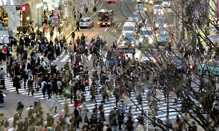 광화문 횡단보도 복원한 시민의 힘